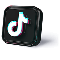 TikTok Downloader